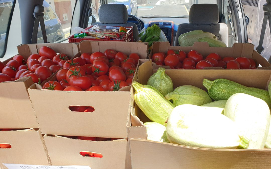 Rotary Club dona una cantidad importante de tomates y bubangos a la asociación Arca de Noé de Adeje, Tenerife