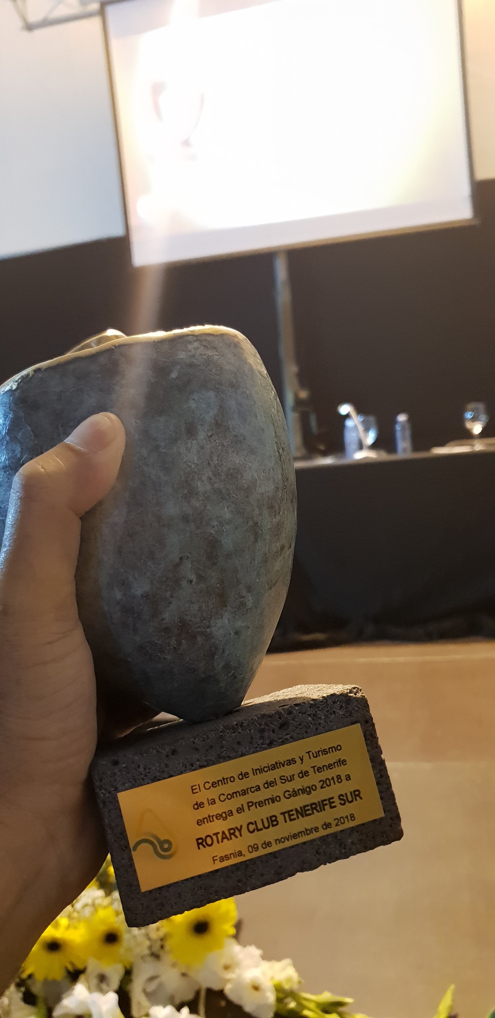 Imagen del artículo