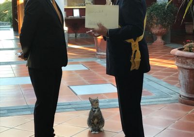 Imagen del artículo