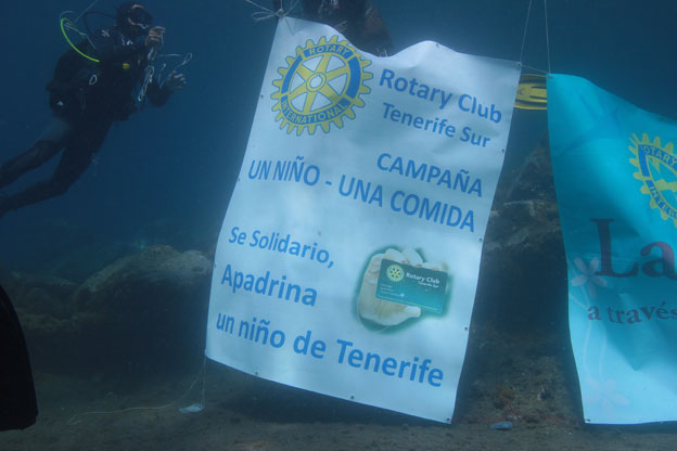 Imagen del artículo