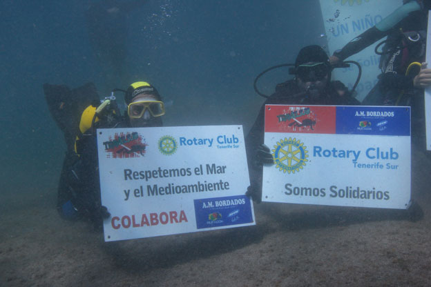 Imagen del artículo