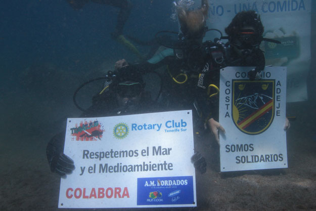Imagen del artículo
