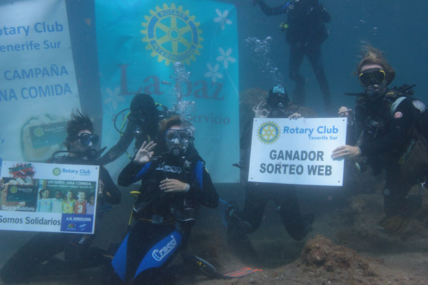 Imagen del artículo
