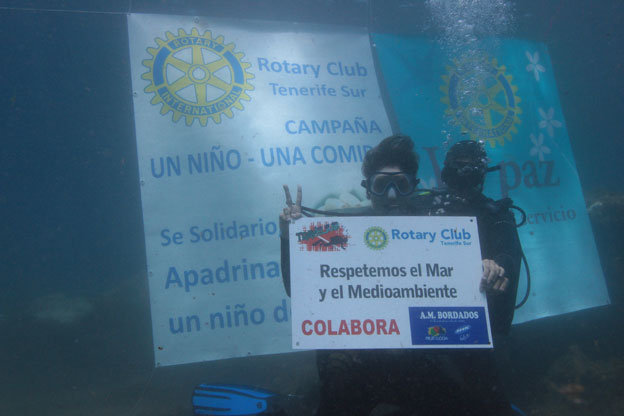 Imagen del artículo