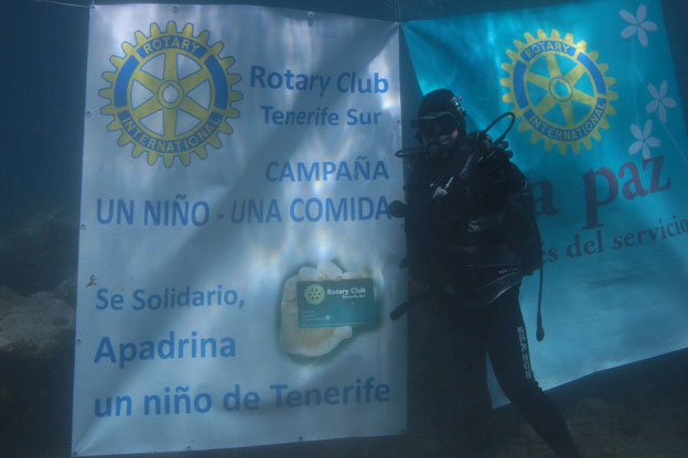 Imagen del artículo