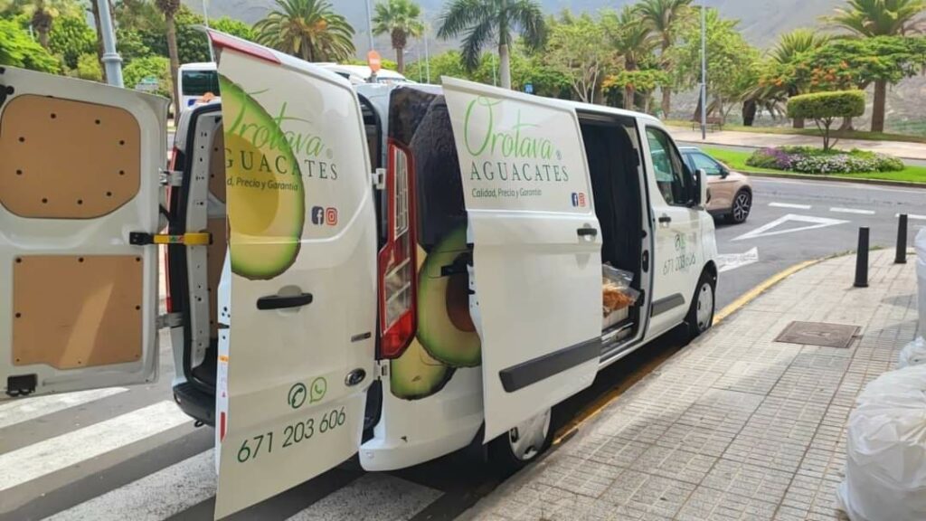 Imagen del artículo