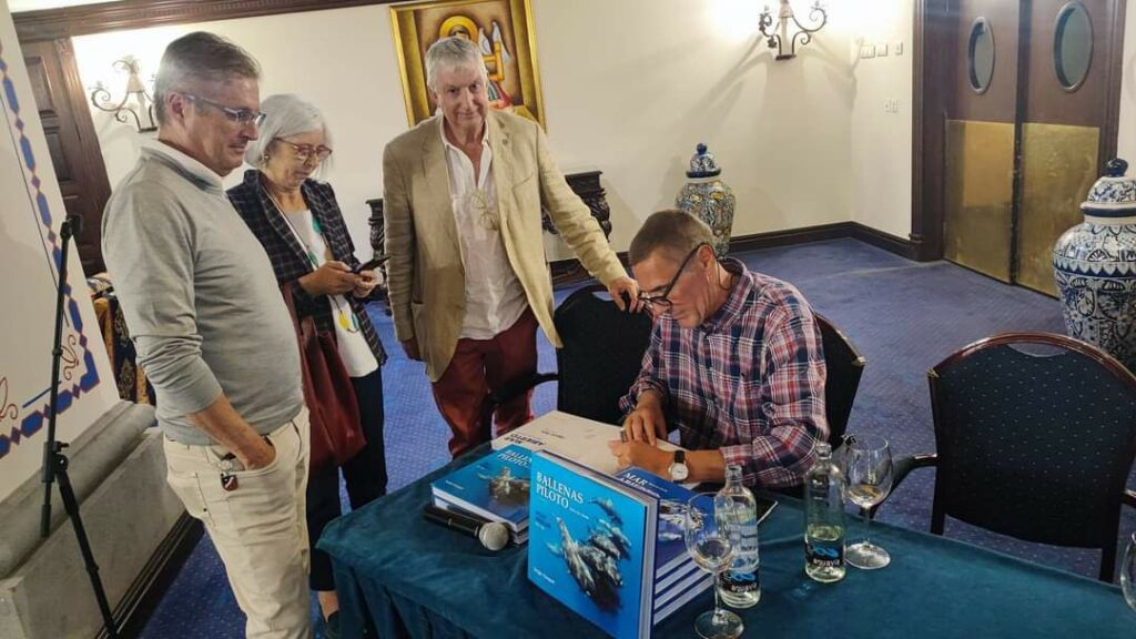 Imagen del artículo