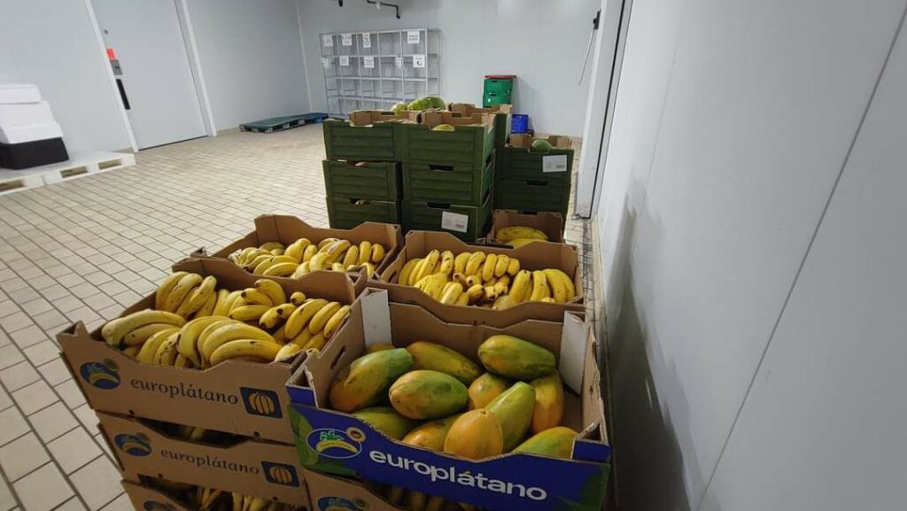 Imagen del artículo