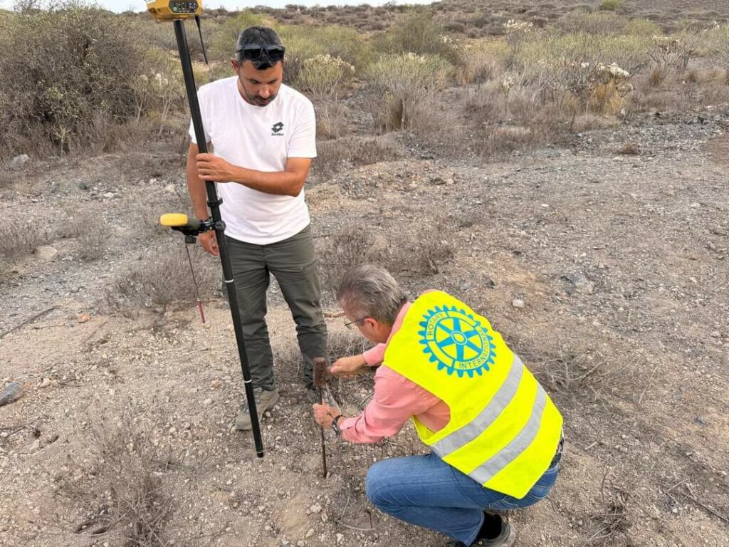 Imagen del artículo
