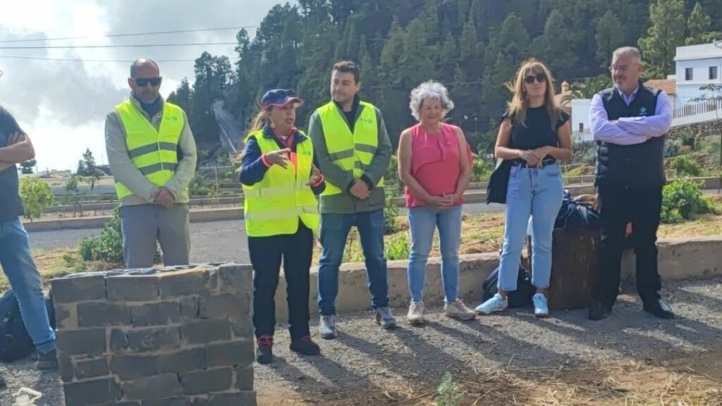 Imagen del artículo