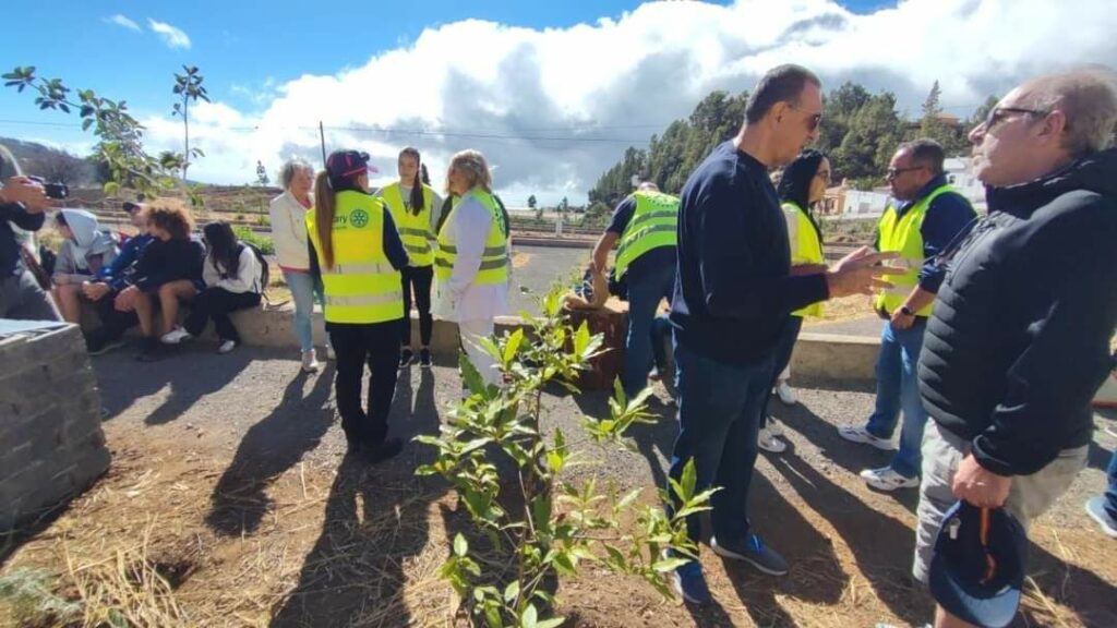 Imagen del artículo