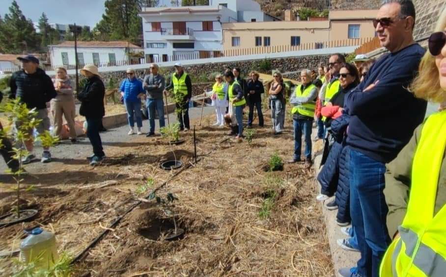 Imagen del artículo