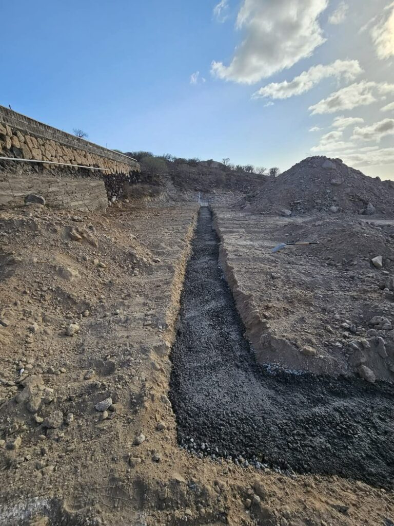 Imagen del artículo