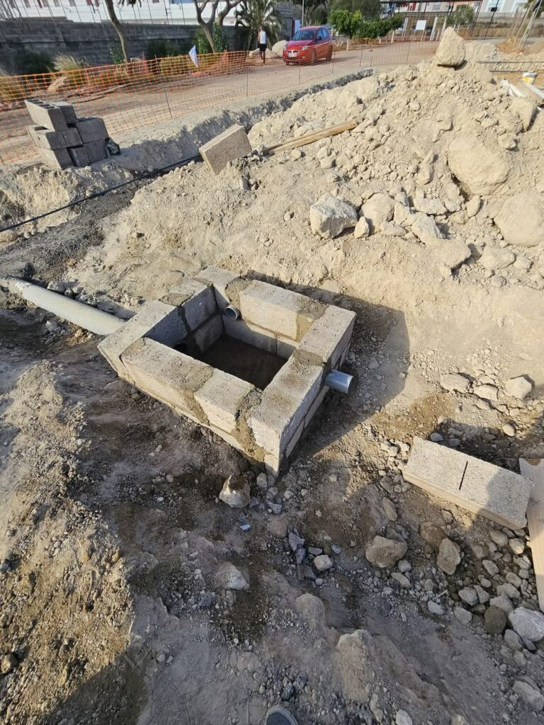 Imagen del artículo