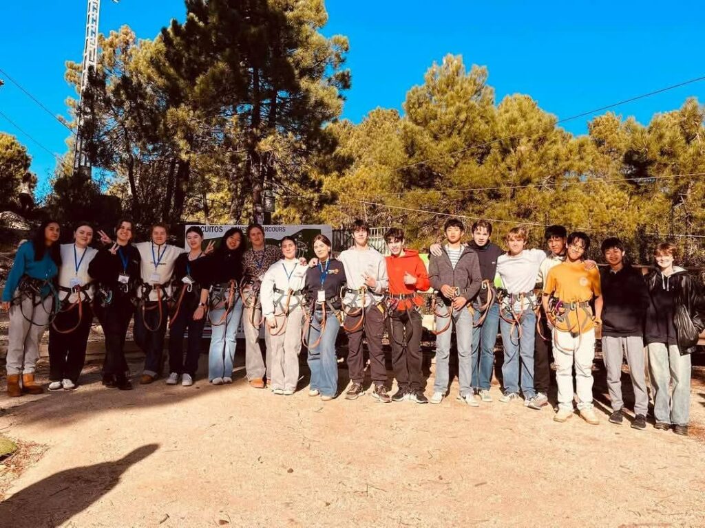 Imagen del artículo