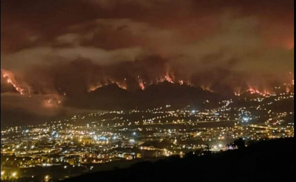 Imagen del artículo