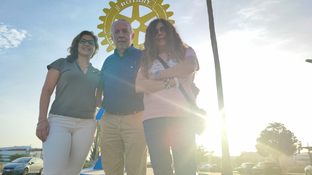 Imagen del artículo