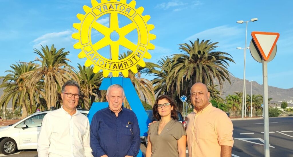 Imagen del artículo