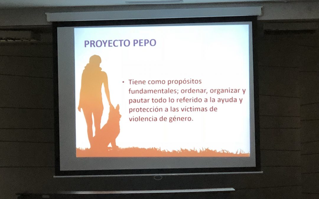 Interesantisima ponencia de una víctima de genero sobre el proyecto “Pepo”