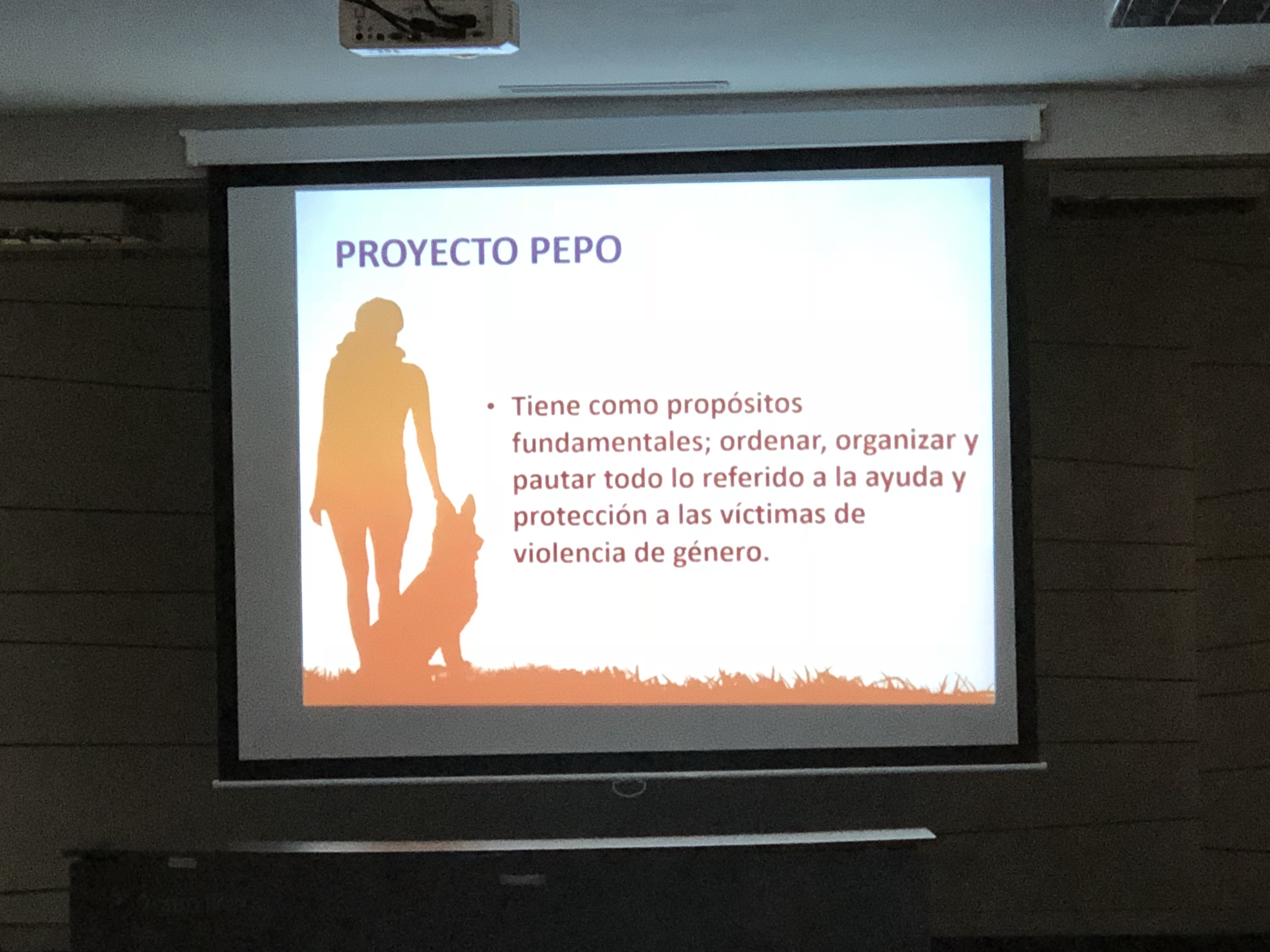 Interesantisima ponencia de una víctima de genero sobre el proyecto “Pepo”