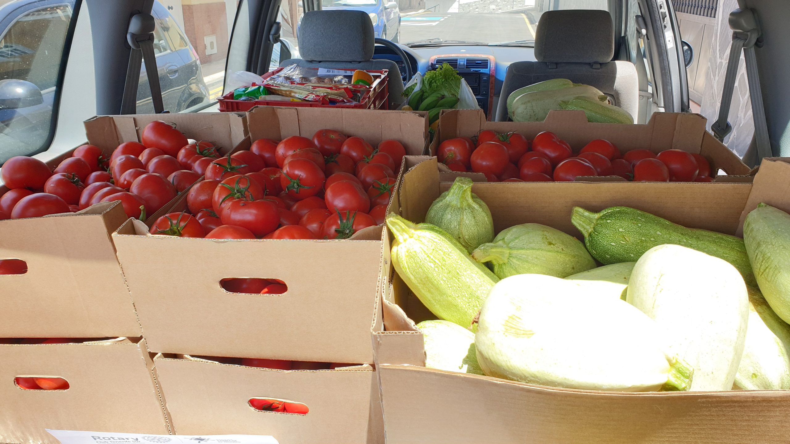 Rotary Club dona una cantidad importante de tomates y bubangos a la asociación Arca de Noé de Adeje, Tenerife